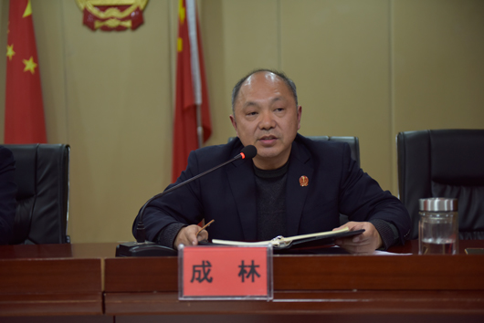 党组副书记、副院长成林.jpg