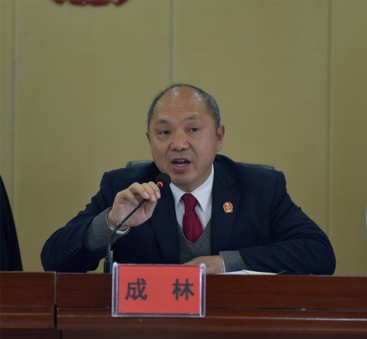 院党组副书记、副院长成林主持会议.jpg