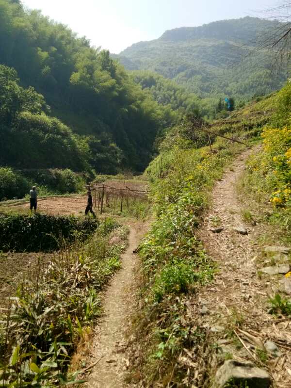 深山菜园吆喝送达.jpg